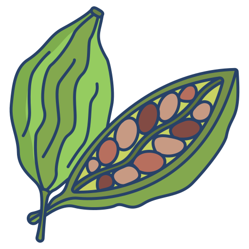 Premium Cardamom Quill
