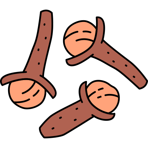 Premium Selected Clove Pod